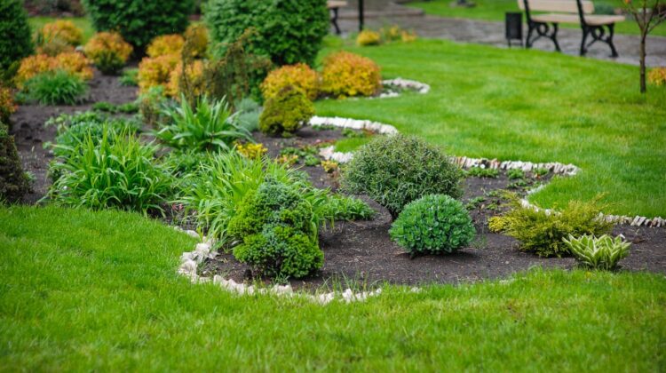 3 Things You Can Do To Reduce The Amount Of Maintenance You Have To Do On Your Landscaping